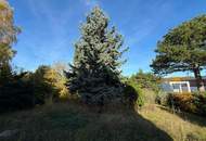 Wunderschönes Grundstück / Ausbaumöglichkeiten des Hauses / Lainzer Tiergarten