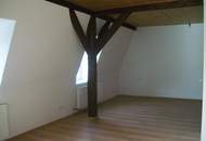 Hundebesitzer aufgepasst! Gemütliche Wohnung/Ferienwohnung in Traumnatur!