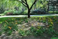 Moderne 2-Zimmer-Wohnung in Parklage – ideal für Singles und Paare!