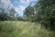 Großzügiges Grundstück mit Altbestand – Paulahof bei Nickelsdorf