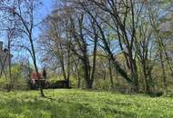 Platz für ein Einfamilien- oder Doppelhaus - Eigengrund am Ödberg in sonniger, grüner Umgebung