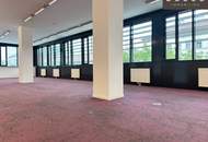 + + + MODERNES UND HELLES NEUBAUBÜRO + + + BÜROHAUS BC 20 + + +