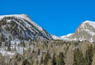 ALM-CHALET 1 - Freizeitwohnsitz in Toplage