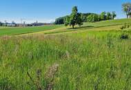 Sonniger Baugrund am Grünland, 30 km nördlich von Salzburg