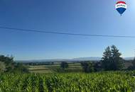 Einzigartiges Baugrundstück in Alkovner Aussichtslage