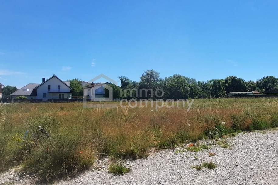 Sommerpreis! Großer Baugrund in zentraler Lage, Grund und Boden-kauf, 220.000,€, 2604 Wiener Neustadt(Land)
