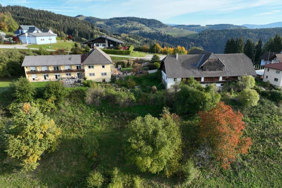 Gästehaus mit Fremdenzimmer und großem Nebengebäude in Aussichtslage von Griffen, Gewerbeobjekt-kauf, 479.000,€, 9112 Völkermarkt