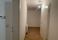 Erdgeschoss 2-ZImmer sanierte Altbauwohnung - nur 100m von Donau entfernt