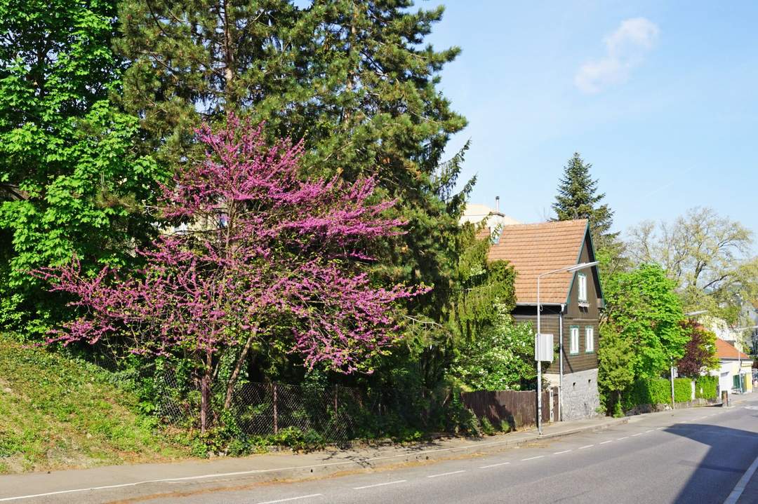 Baugrund mit Altbestand in Hietzing Nähe St. Josef Krankenhaus