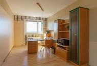 Carl-Appel-Straße, Blick über Wien - 3 Zimmer Neubau mit 19,11m2 Loggia