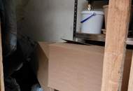 Deine junge Stadtwohnung in Enns