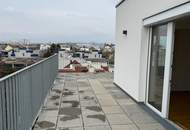 TERRASSENHIT! - 2 Zimmerwohnung am langen Felde
