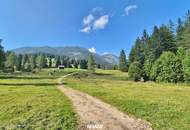 Bad Mitterndorf: Almhütte!! auf Eigengrund mit Nebengebäuden