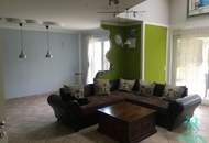 Am ehemaligen Weinberg in Bad Vöslau