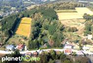 Direkte Thermennähe in Stegersbach – Traumobjekt mit Altbestand, Fischteich und Wald