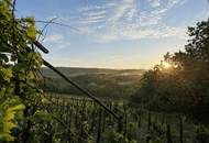 UNGARN - Winzerhaus (Pinze) in idyllischer Weinberglage bei Zalaegerszeg