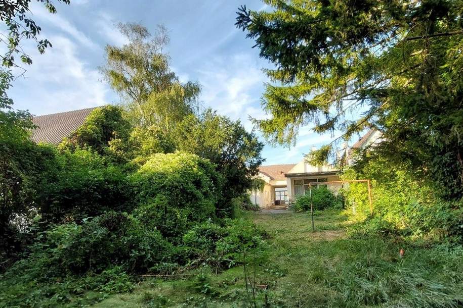 "Liegenschaft beim Schlosspark Pottendorf- Bezirk Baden", Haus-kauf, 349.000,€, 2486 Baden