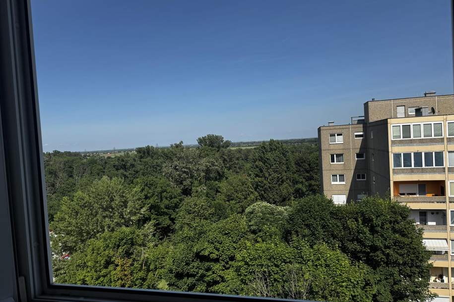 Dem Himmel so nah! Geräumige Eigentumswohnung mit Grünblick, 20 min. nach Wien, Wohnung-kauf, 229.000,€, 2514 Baden