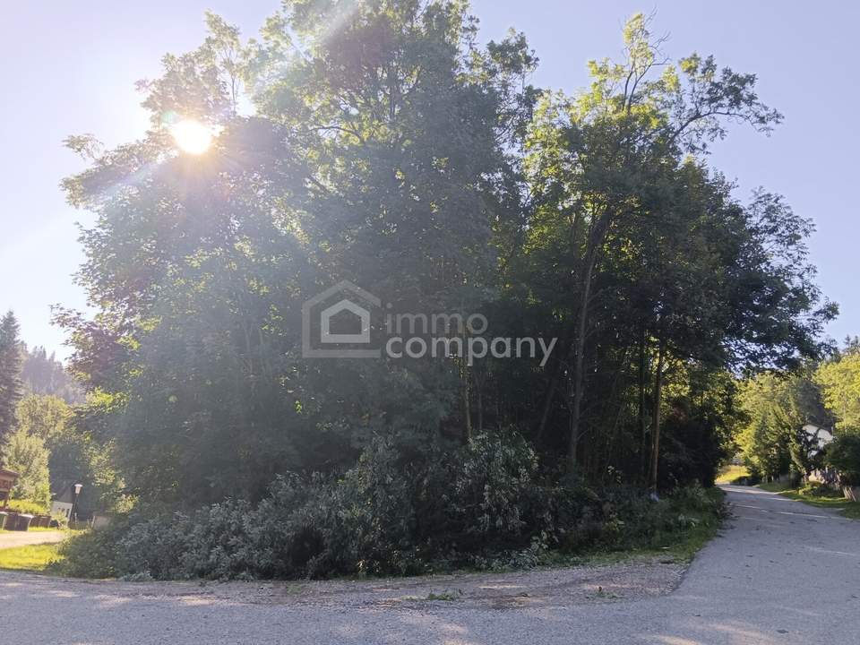 Traumhaftes Baugrundstück am Semmering – 1546 m² mit Berg- und Grünblick!