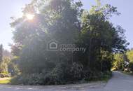 Traumhaftes Baugrundstück am Semmering – 1546 m² mit Berg- und Grünblick!