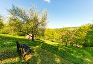 Supergemütliches Einfamilienhaus mit großem Garten und Natur-Biotop - beziehbar ab August 2026!