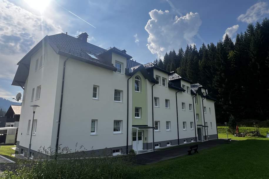 Gaming, 3 Zimmer, 89 m² / 01580 00084, Wohnung-miete, 624,94,€, 3295 Scheibbs