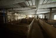 SANIERUNG 2025: Geräumiges Einfamilienhaus mit angeschlossener Kleinlandwirtschaft (Neben- und Stallgebäude) mit ca. 2.700 m² Grund