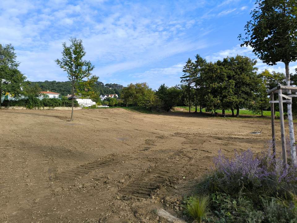 Traumhaftes Grundstück in Eisenstadt am Oberberg – 729 qm für Ihr Bauprojekt (GST 3474/2, KG 30008) (Provisionsfrei)