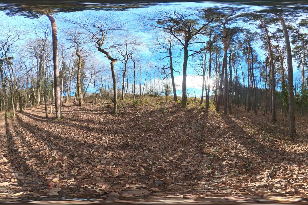 Großes Baugrundstück mit Wald ohne Bauzwang