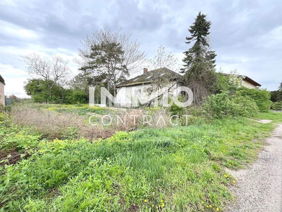 Großes Grundstück Bauland Agrar