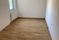 SOMMERAKTION: TOP-sanierte 3-Zimmer-Wohnung zum kleinen Preis! Vorteilhafte Lage am ruhigen Stadtrand von Steyr! Große Fenster, traumhaftes Badezimmer und praktischer Grundriss versprechen höchste Wohnqualität!