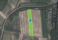 TOLLE ACKERFLÄCHE IN SÜDSEITIGER AUSRICHTUNG MIT GUTER BONITÄT IN NIEDERKREUZSTETTEN