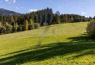 Hochwertige Wohnung in sonniger Lage mit Bergblick - Kitzbühel