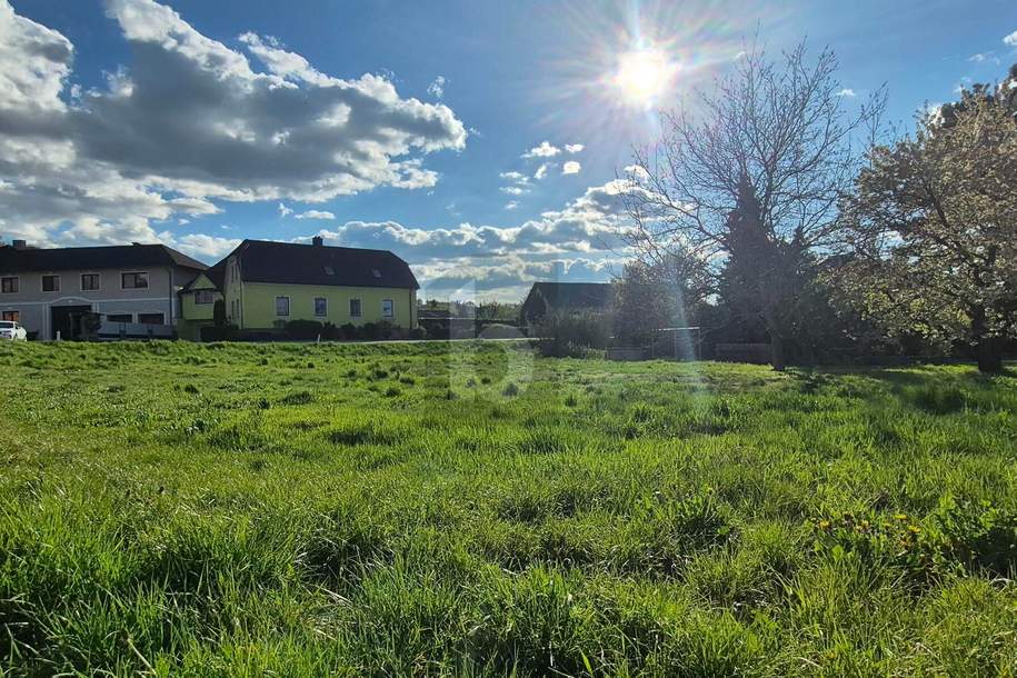 SELTENE CHANCE: 886 M² BAUGRUND MIT SÜDAUSRICHTUNG ? AUFSCHLIEßUNG BEREITS BEZAHLT!, Grund und Boden-kauf, 150.000,€, 3390 Melk