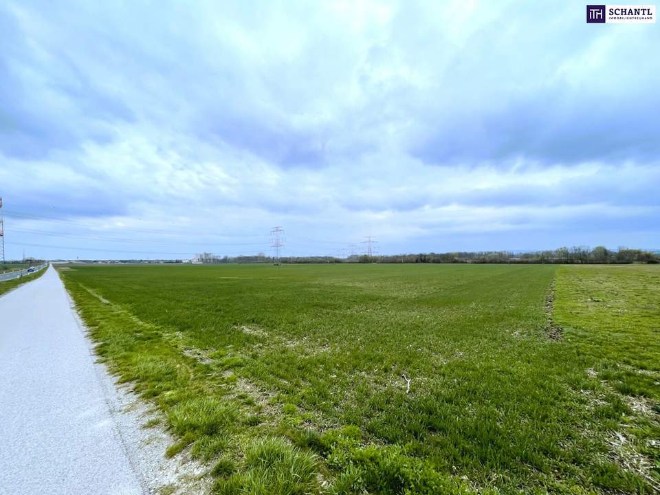 Schnell sein! Landwirtschaftliches Grundstück in Ebergassing – ca. 14.400 m² Ackerfläche mit enormen Wertsteigerungspotential zu verkaufen!