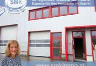 GROSSE HALLE IM GEWERBEGEBIET VON TRUMAU!