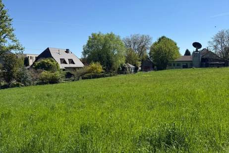 DOPPELHÄUSER in ZIMMERMEISTERQUALITÄT (ab 109 m² bis 140 m²) - nachhaltig leben im Marktort Neuhofen an der Krems, Haus-kauf, 443.720,€, 4501 Linz-Land