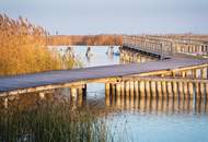 "The Lagoon" - Modern - Nachhaltig - Elegant