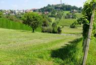 2 ERSCHLOSSSENE BAUGRÜNDE MIT OBSTBAUM-BESTAND UND WEINREBEN IM VULKANLAND DER SÜDOSTSTEIERMARK