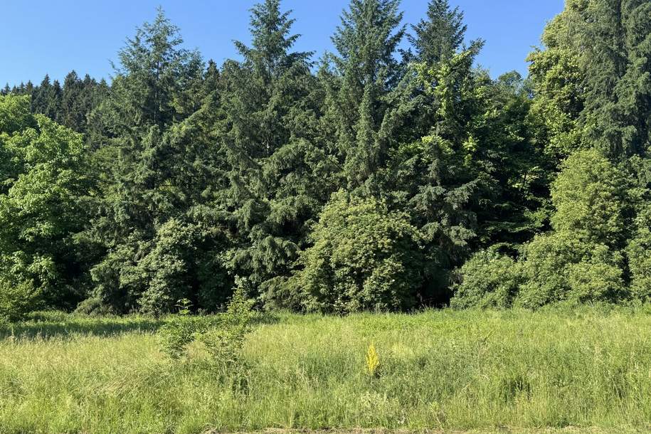 Grundstücksflächen mit Bauland-Anteil und landwirtschaftlichem Nutzungspotenzial in Pudlach bei Lavamünd, Grund und Boden-kauf, 120.000,€, 9155 Völkermarkt