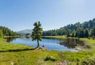 Exklusiver Zweitwohnsitz rund um Turracher Höhe - Kreischberg - Lungau!