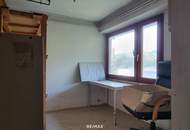 Grundstück mit alter Gärtnerei und Altbestand