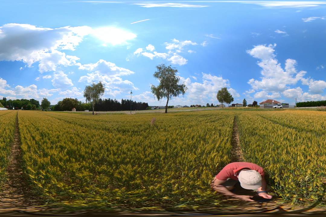 SONNIGES BAUGRUNDSTÜCK ohne Bauzwang