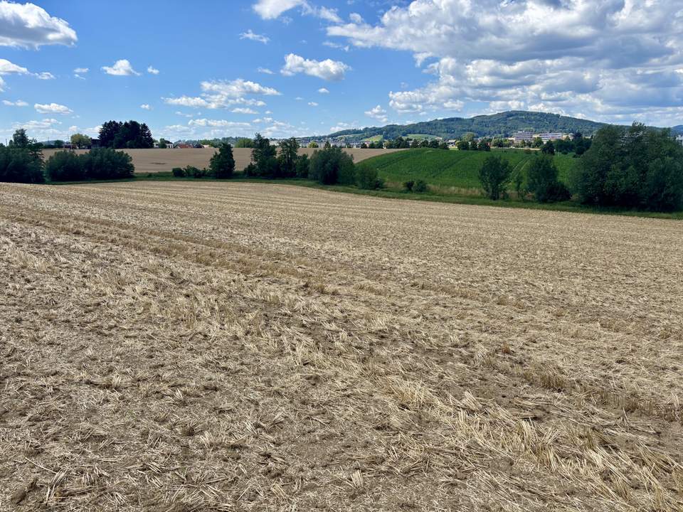 Landwirtschaftlicher Nutzgrund Leonding