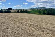 Landwirtschaftlicher Nutzgrund Leonding