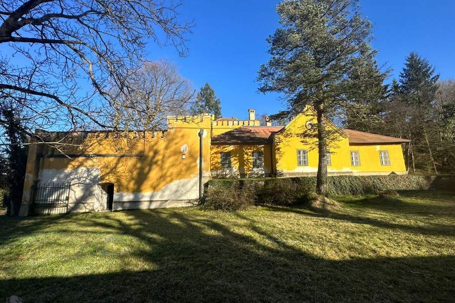 SCHLOSS WERKSCHLÖSSL Antimonschlössl steht zum Verkauf, Haus-kauf, 1.200.000,€, 7433 Oberwart