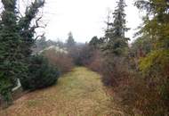 Bastlerhit mit großem Garten - ruhig in einer Sackgasse gelegen