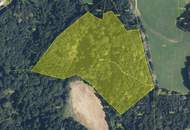 3,7 Ha. Wald in Nestelbach bei Graz zu kaufen