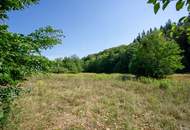 Betriebsbaugrund im Ortszentrum Pressbaum/Tullnerbach