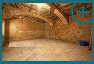 WERKSTATT / LAGERFLÄCHE| NÄHE ALSER STRASSE